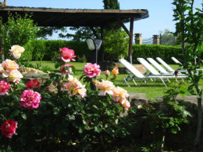 Agriturismo Villani Poderi Nesti & Cupoli